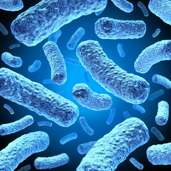 bakterier resistenta mot antibiotika