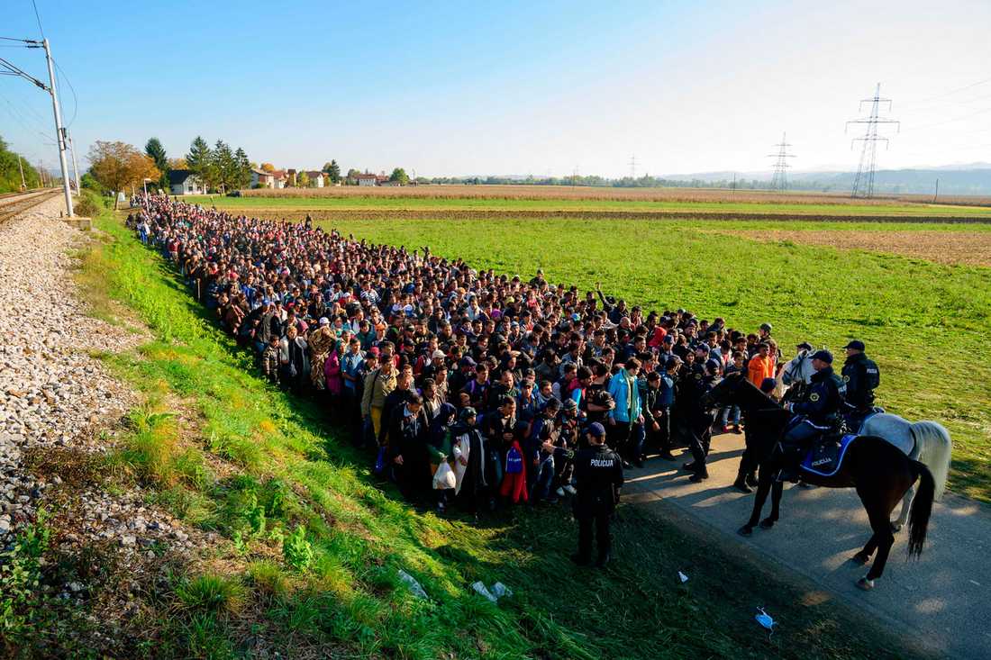 flyktingkrisen